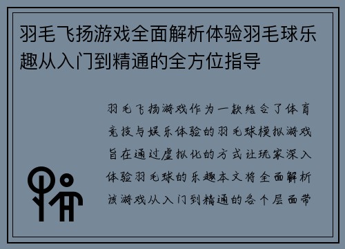 羽毛飞扬游戏全面解析体验羽毛球乐趣从入门到精通的全方位指导